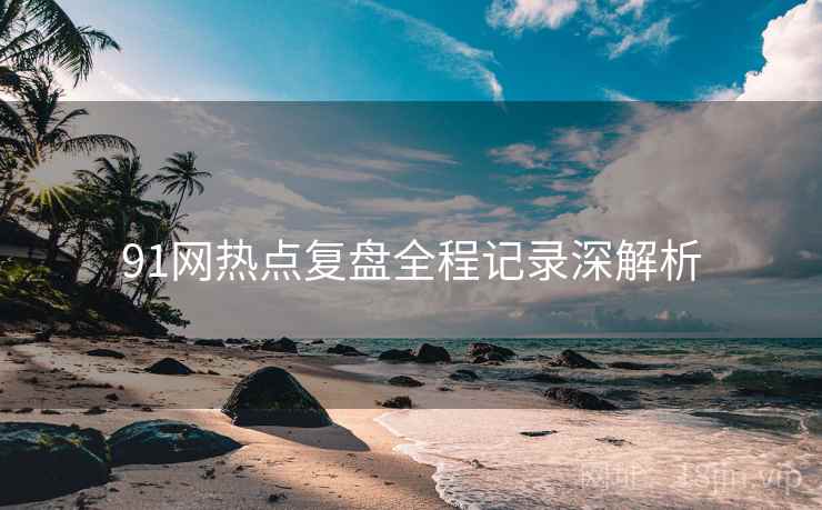 91网热点复盘全程记录深解析